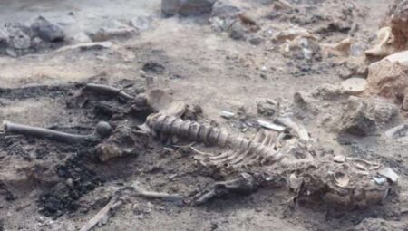 3 bin 700 yıllık “beyin ve deri kalıntıları” çıktı
