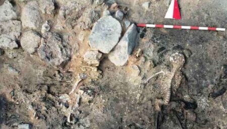 Arkeologlar şoke oldu: Kütahya’da 3 bin 700 yıllık insan beyni bulundu! İlk ve tek örnek