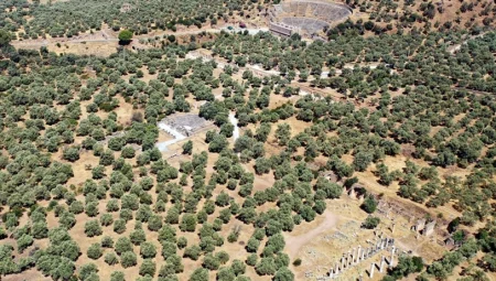 Arkeoloji dünyasının gözü Aydın’a çevrildi: Tam 47 tane