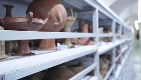 Müzelerdeki 250 bin eser DNA uygulamasıyla kimliklendirildi