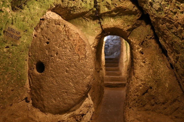 Yaşam alanları ve odalar