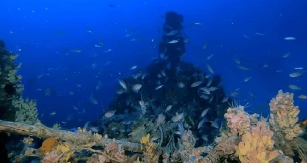 Akdeniz’in dibinde robotik keşif: Eşsiz bir hazine buldu