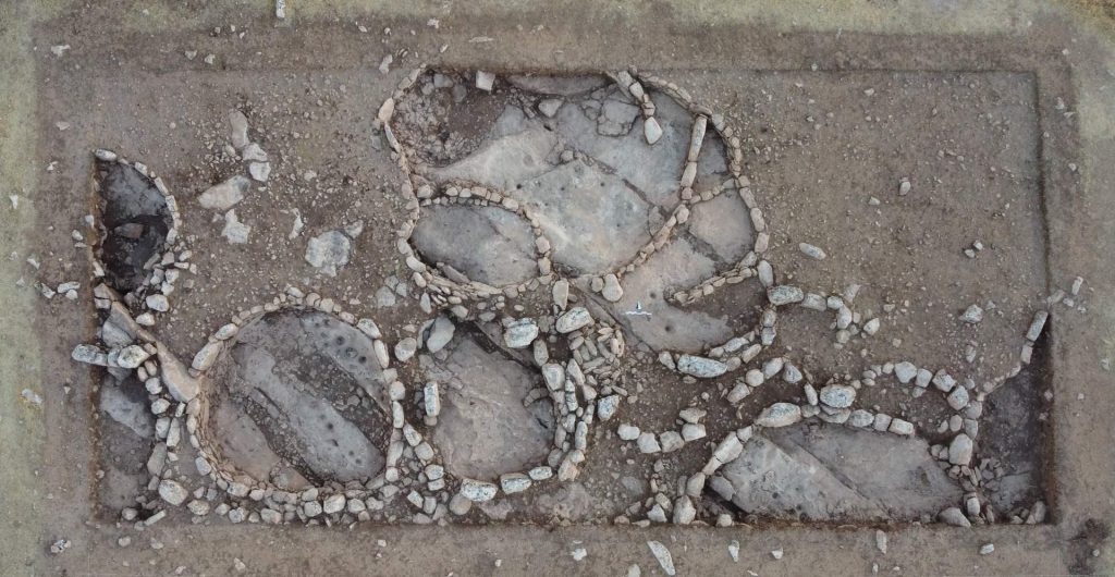 Göbeklitepe’nin atası Çakmaktepe