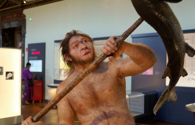 Güney Afrika’da 2 Milyon Yıllık Homo erectus Fosili Bulundu