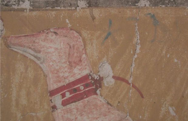 Firavun Dönemi Mısır’ında Sadece Köpeklere İsim Veriliyordu