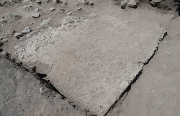 Kültepe’de Hellenistik Dönem Mozaik Döşemeli Yapı Bulundu